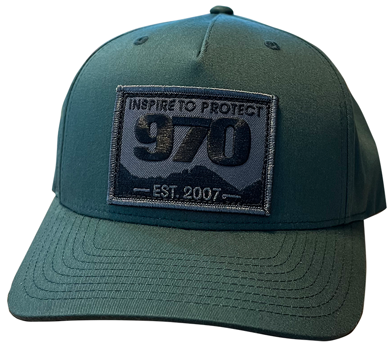 Curved Bill 970 Patch - Dark Green – ninesevenzero